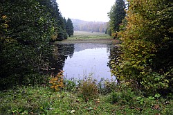 Steinmhlental - Fortsetzung - Suite