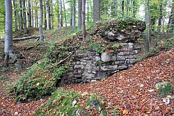 Burgruine Erichsburg